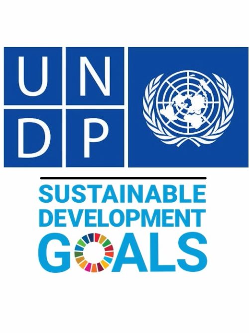 3-UNDP___SDG
